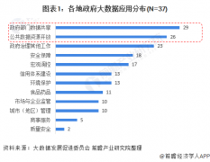 2021年中国政府大数据实施进度与发展