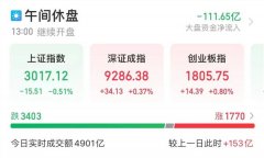 疑遭利空，大白马股价跌停，公司火